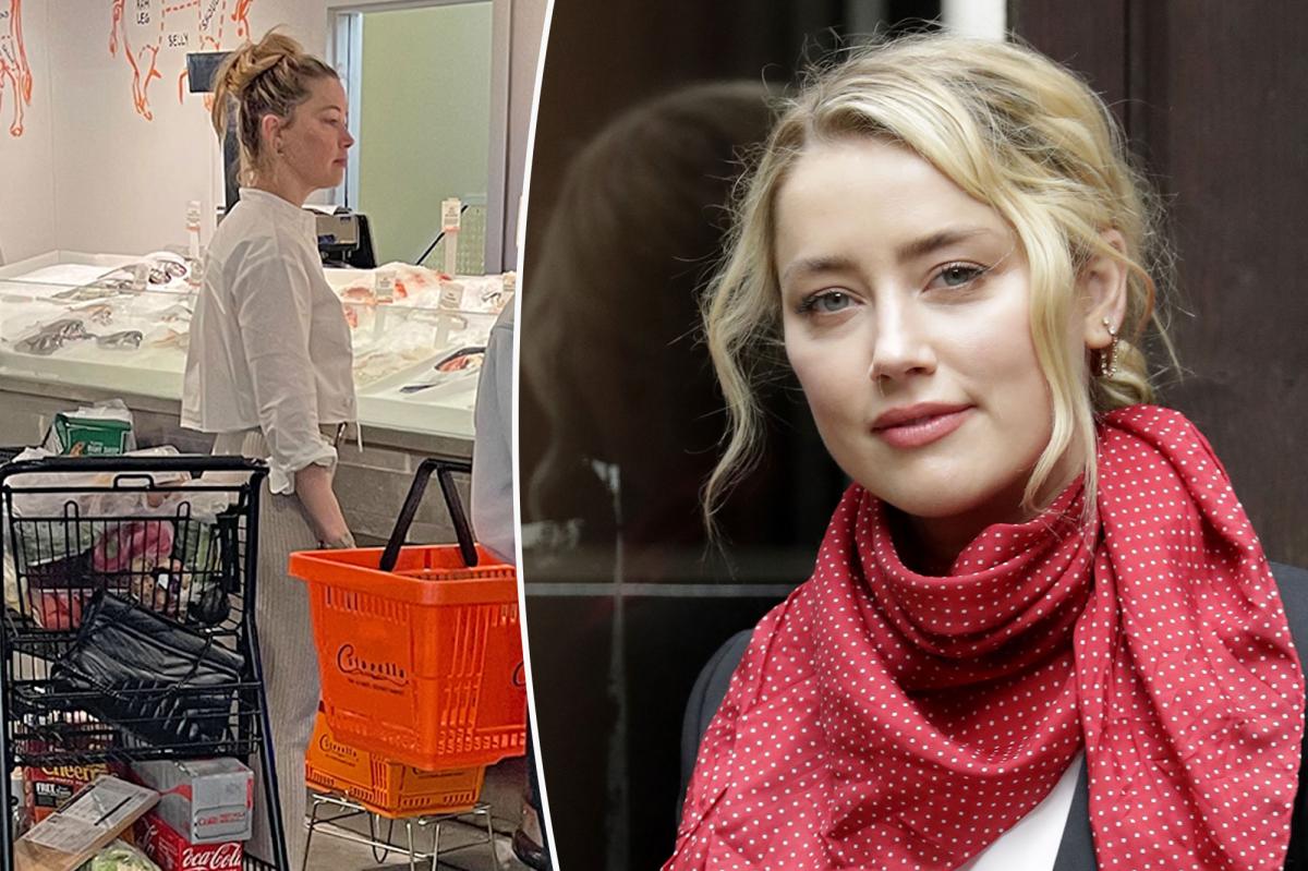 Amber Heard saw grocery shopping in the Hamptons