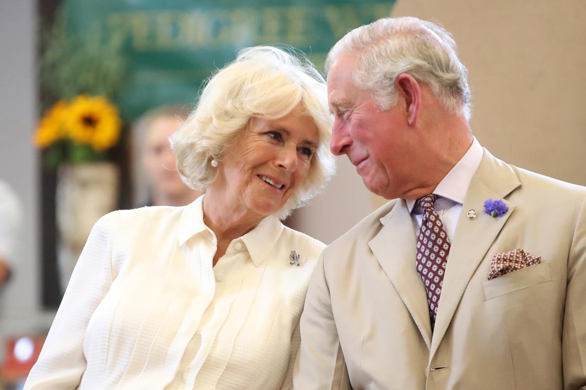 Camilla says she and Prince Charles are 'like ships passing in the night'