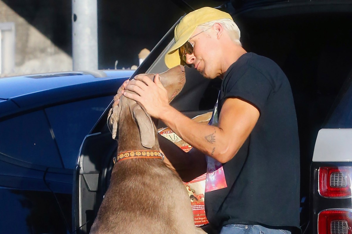 Ryan Gosling gets a kiss with his dog and more star photos