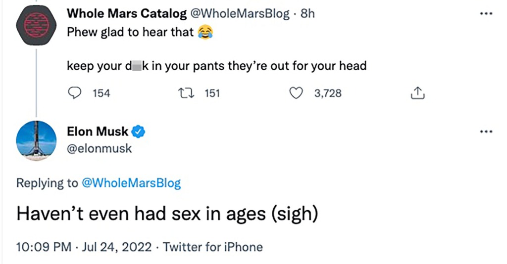Musk joked that he didn't "have had sex in ages (sigh)."