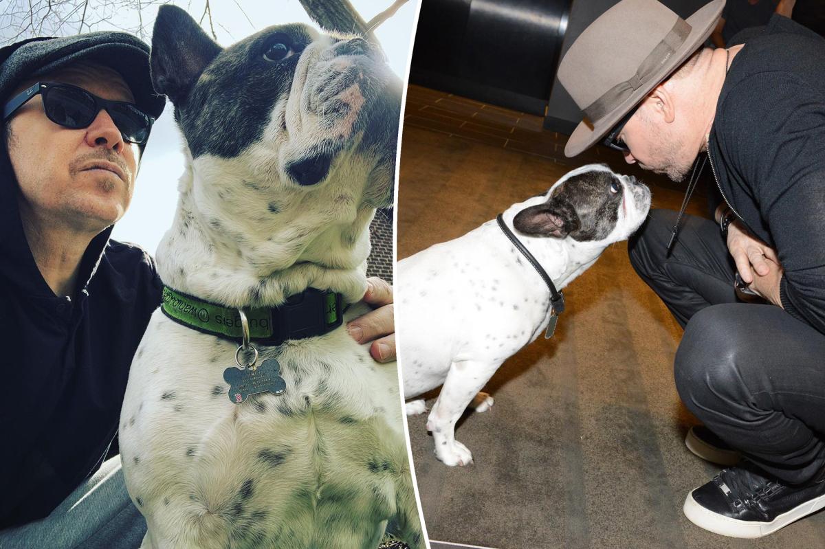 Donnie Wahlberg Reveals His Beloved Dog And 'Constant Sidekick' Lumpy Has Died