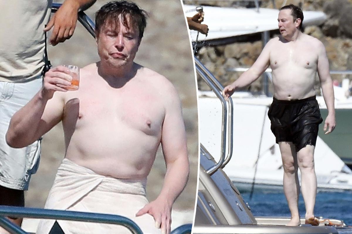 Elon Musk tweets 'free the nip' after being shirtless in Mykonos