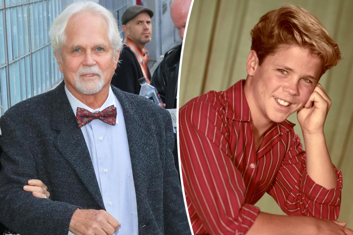 'Leave It to Beaver' star Tony Dow is alive despite announcement