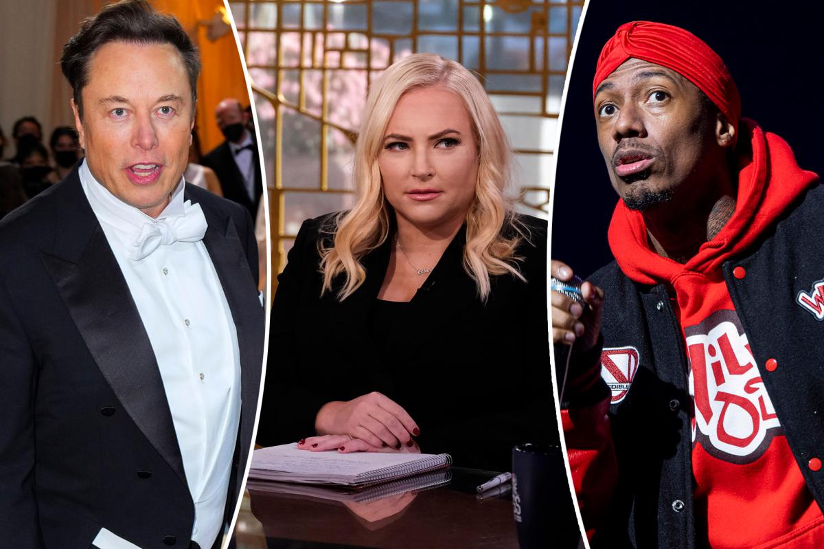 Meghan McCain lashes out at Elon Musk, Nick Cannon on back to back babies
