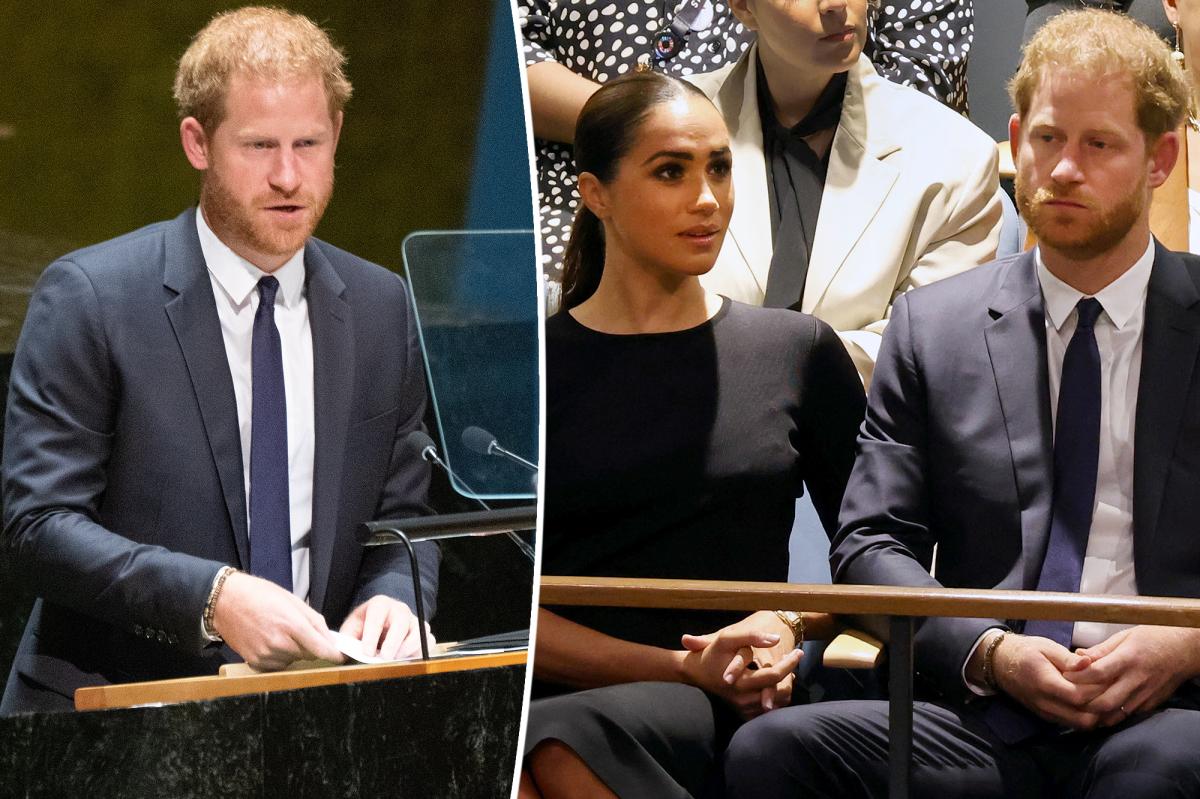 Prince Harry was 'unqualified' to speak at United Nations: Royal expert