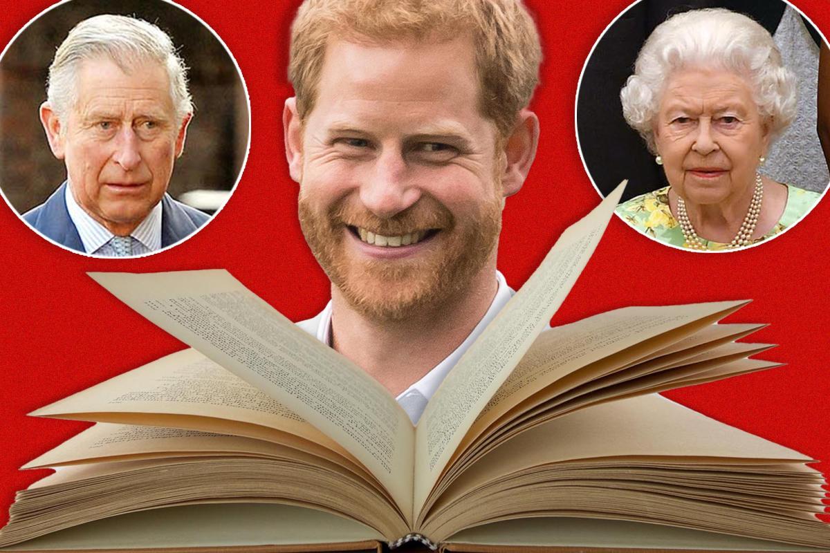 Prince Harry's memoir 'should make the royal family nervous'