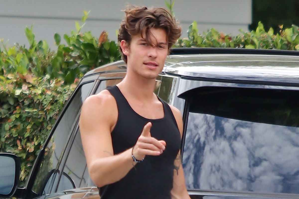 Shawn Mendes steps out after tour cancellation and more star snaps