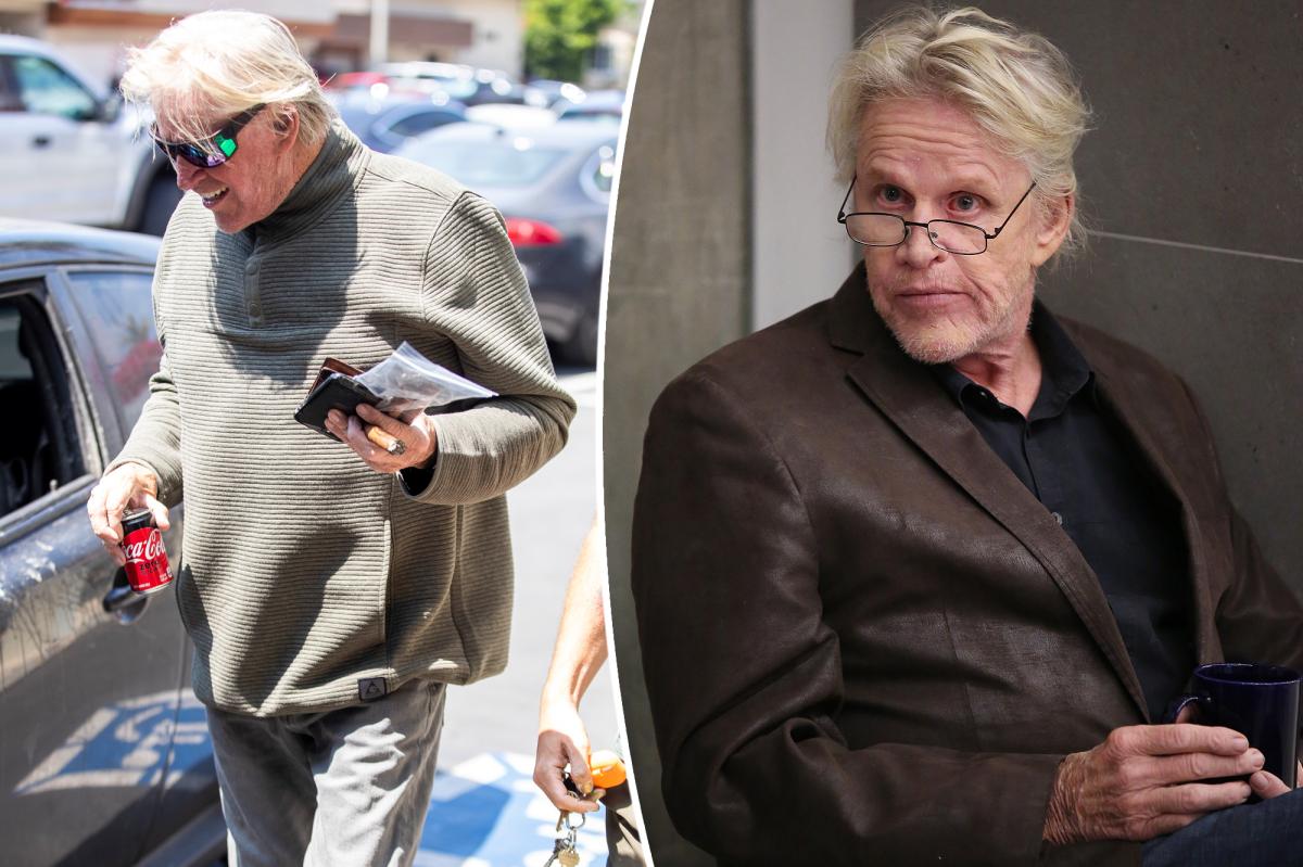 Gary Busey 'Maybe' Needed Bathroom: Rep in Pants-Down Photo