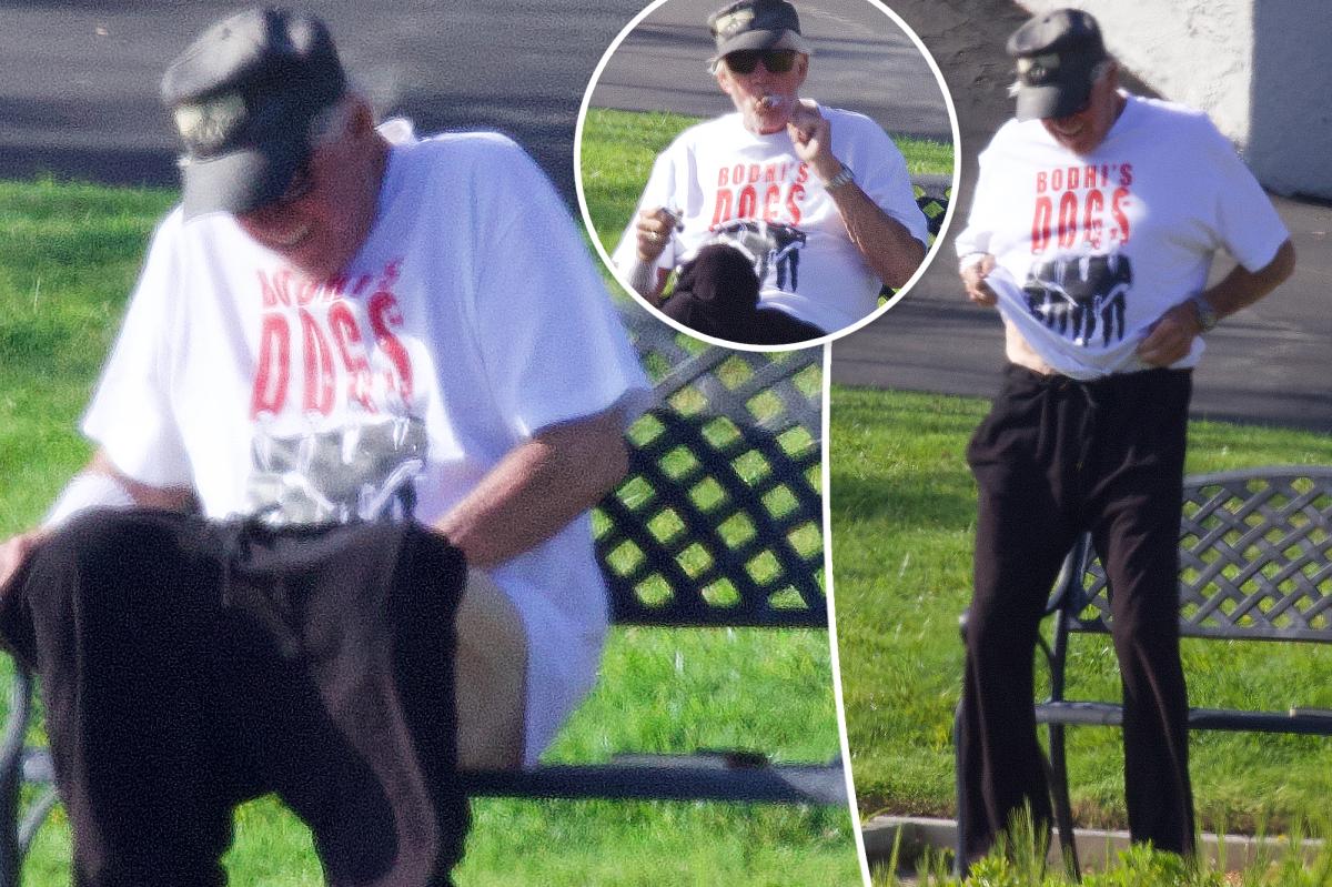Gary Busey pulls pants down in public after being charged with sex crimes
