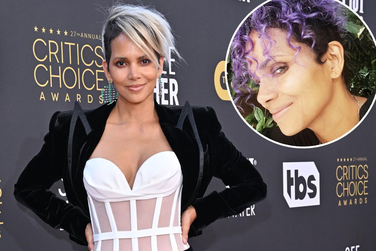 Halle Berry introduces new purple hair for birthday