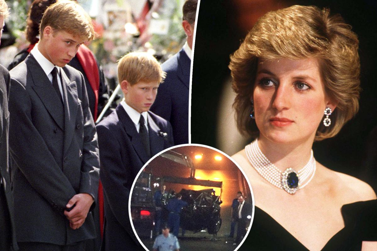 Investigator recalls conversation with Harry, William after Diana's death