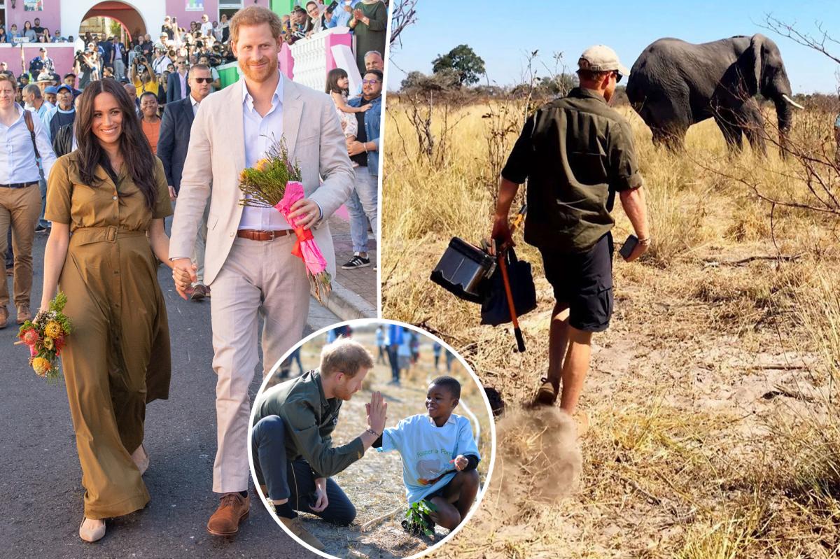 Prince Harry makes Africa trip to visit UK with Meghan Markle