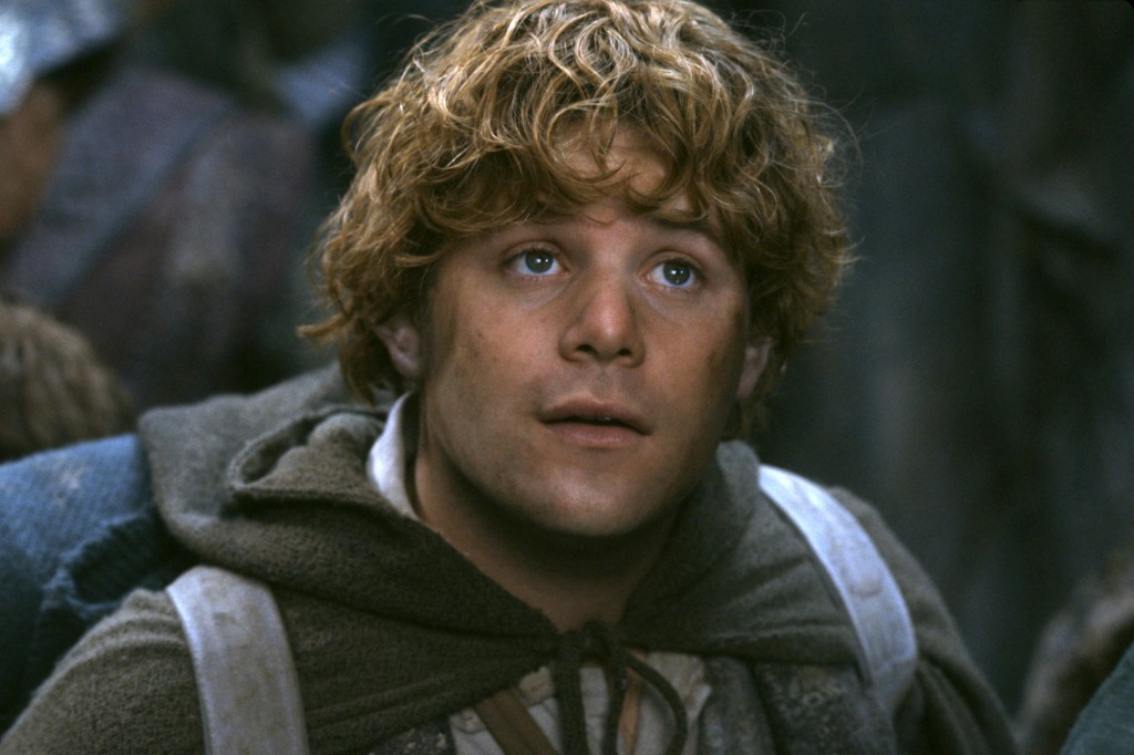 Lord of the Rings Constellation Samwise Gamgee