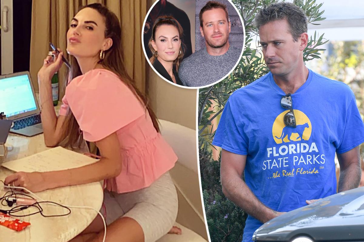 Elizabeth Chambers Reportedly Posed as a Friend to Leak Armie Hammer Stories