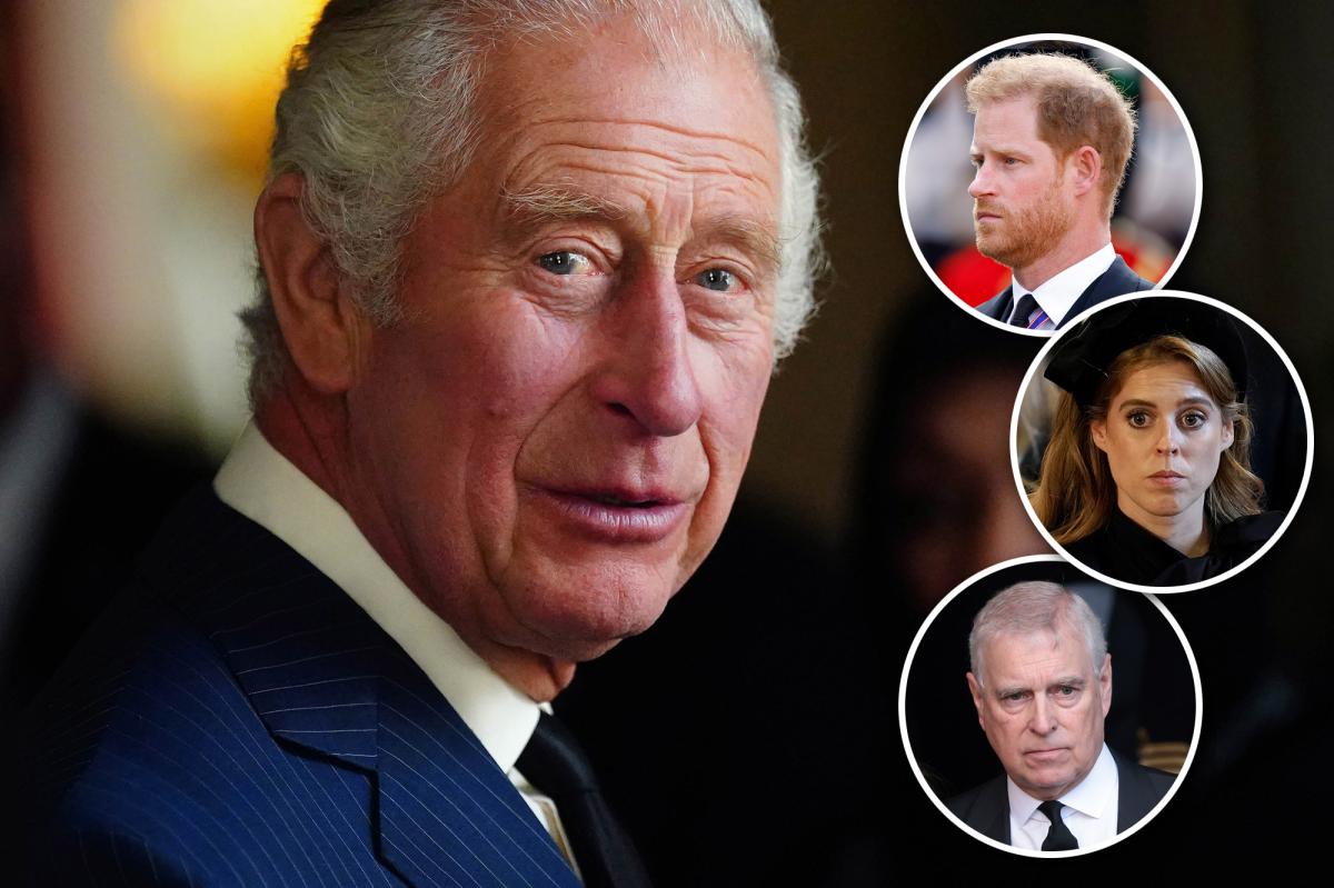 King Charles III plans to remove Prince Harry and Andrew from official stand-ins