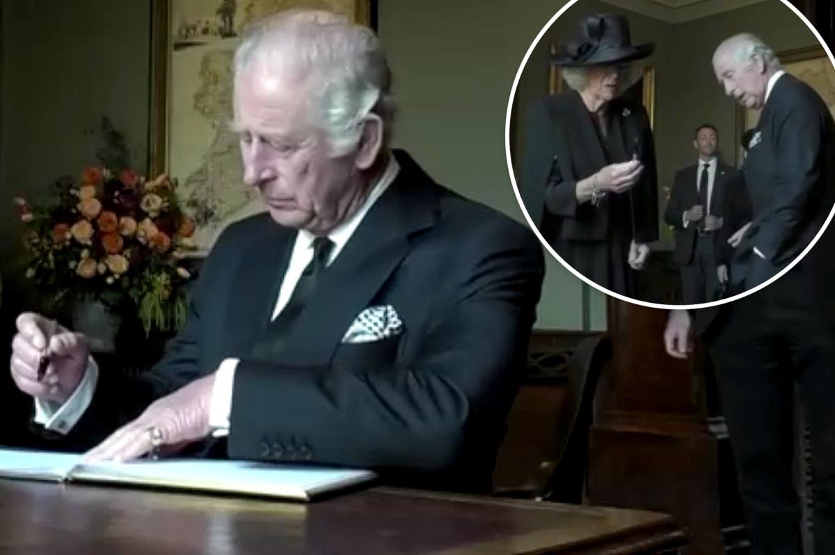 King Charles loses patience over leaking pen: video