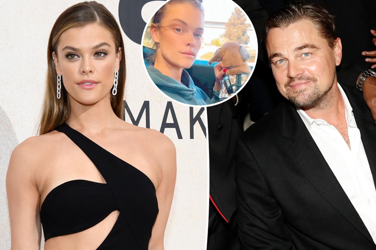 Leonardo DiCaprio's Ex Nina Agdal Posts 'When He Texts You'
