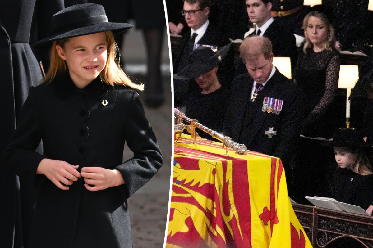 Prince Harry and Charlotte share a sweet moment at Queen's funeral