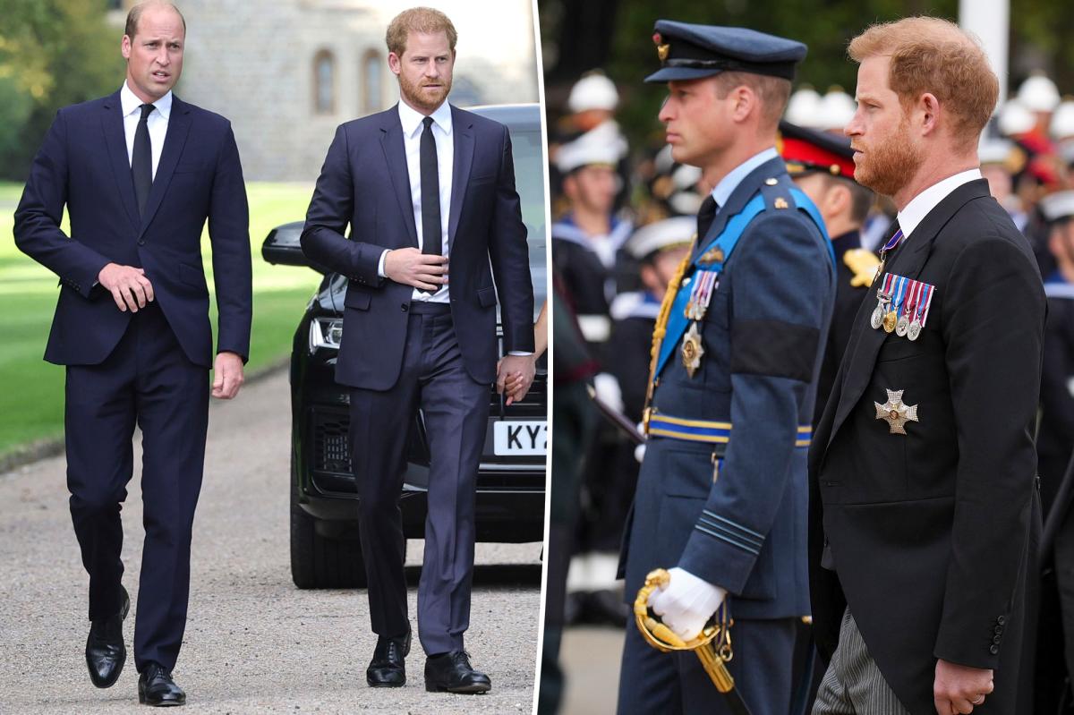 Prince Harry wants people to 'stop talking' about William feud