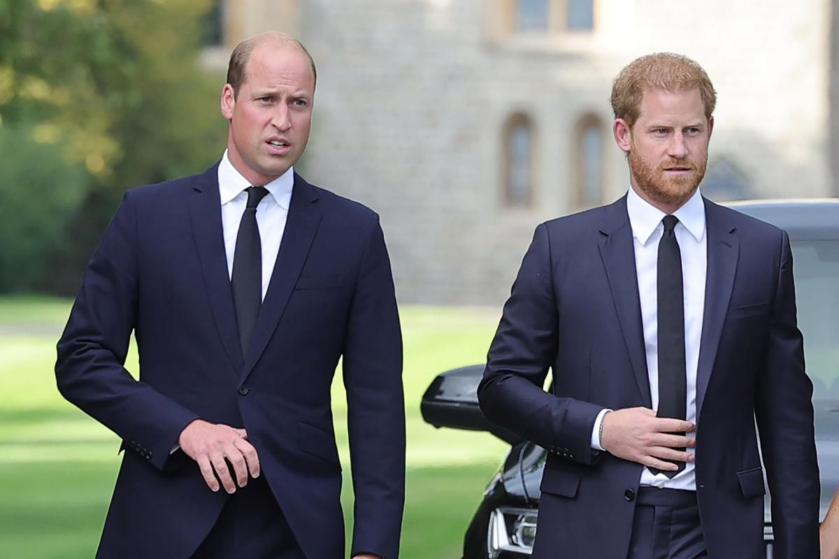 Prince William, Prince Harry do their best to get along