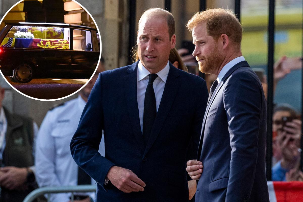 Prince William, Prince Harry had dinner together in London