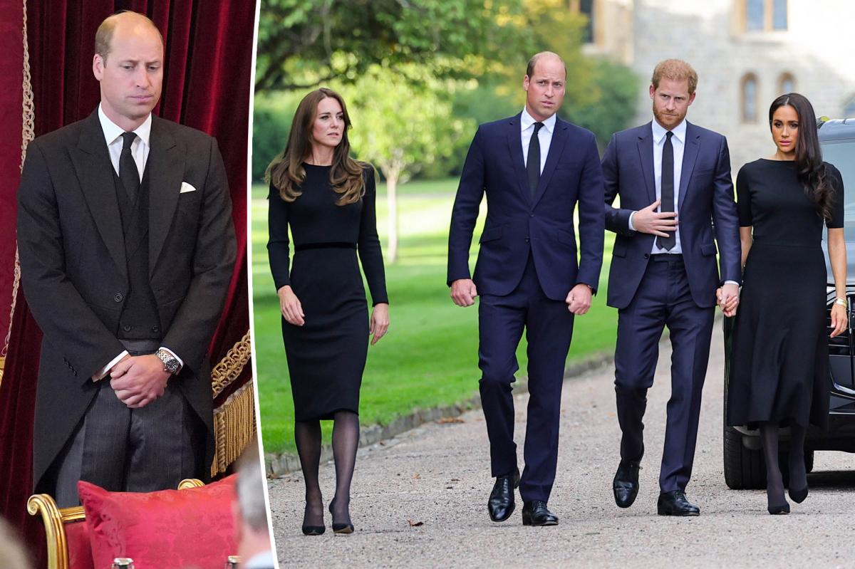 Prince William criticized for Kate's treatment, while Harry is praised