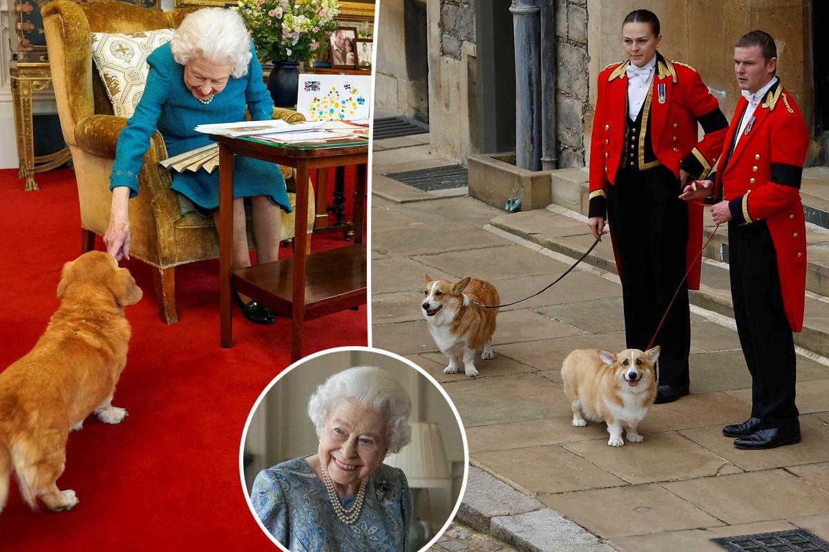 Queen Elizabeth II's Corgis Were In The Room When She Died