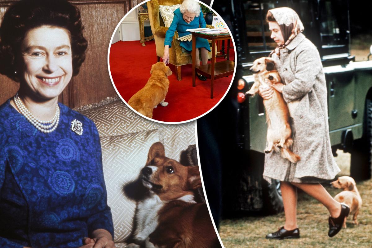 Queen Elizabeth II's Corgis Will Live With The Duke And Duchess Of York