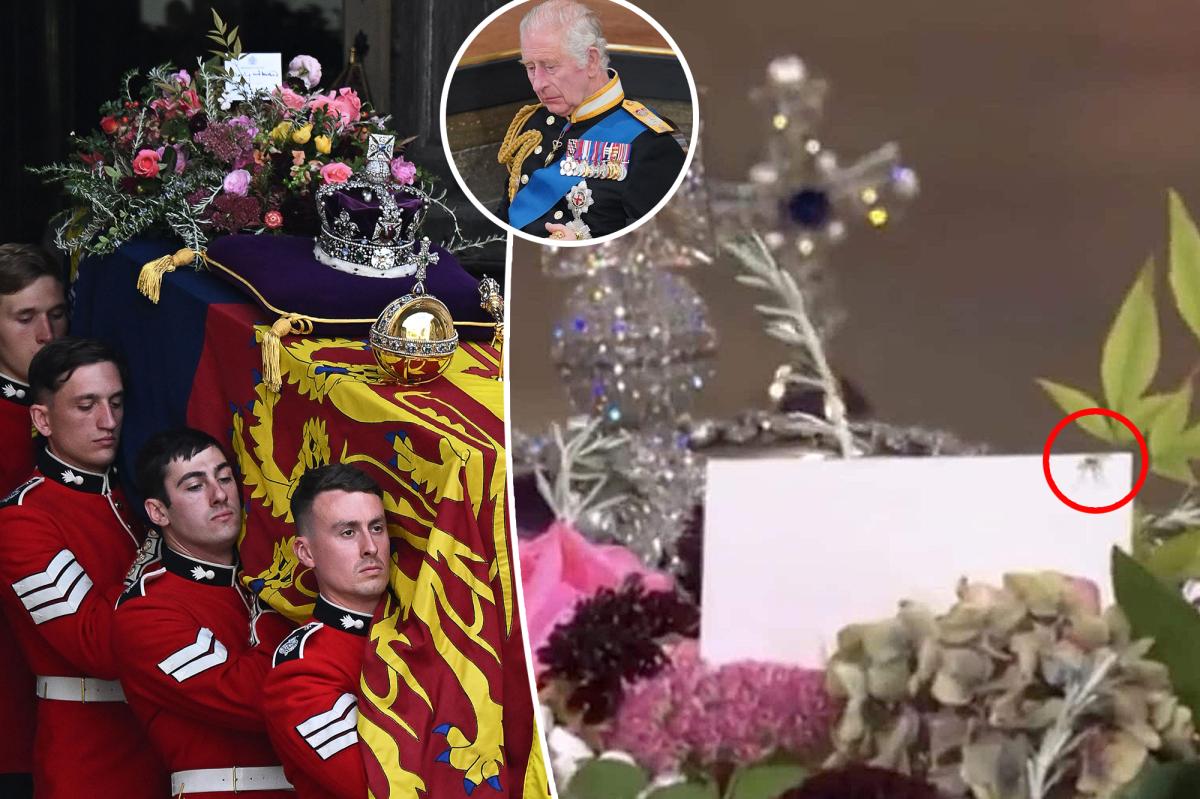 Spider spotted on Queen Elizabeth II's coffin at funeral
