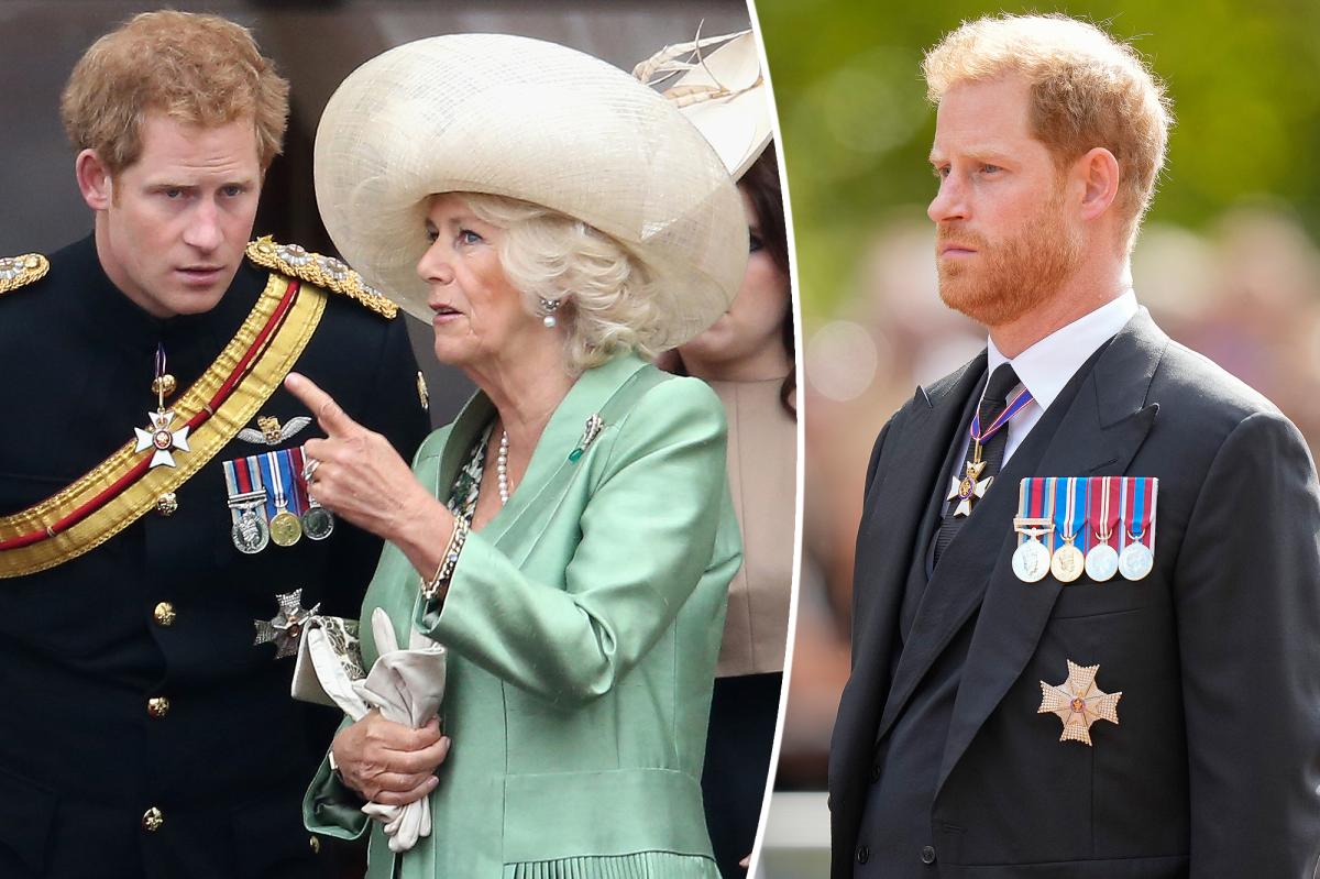 Prince Harry said 'nasty things' about Camilla: biographer